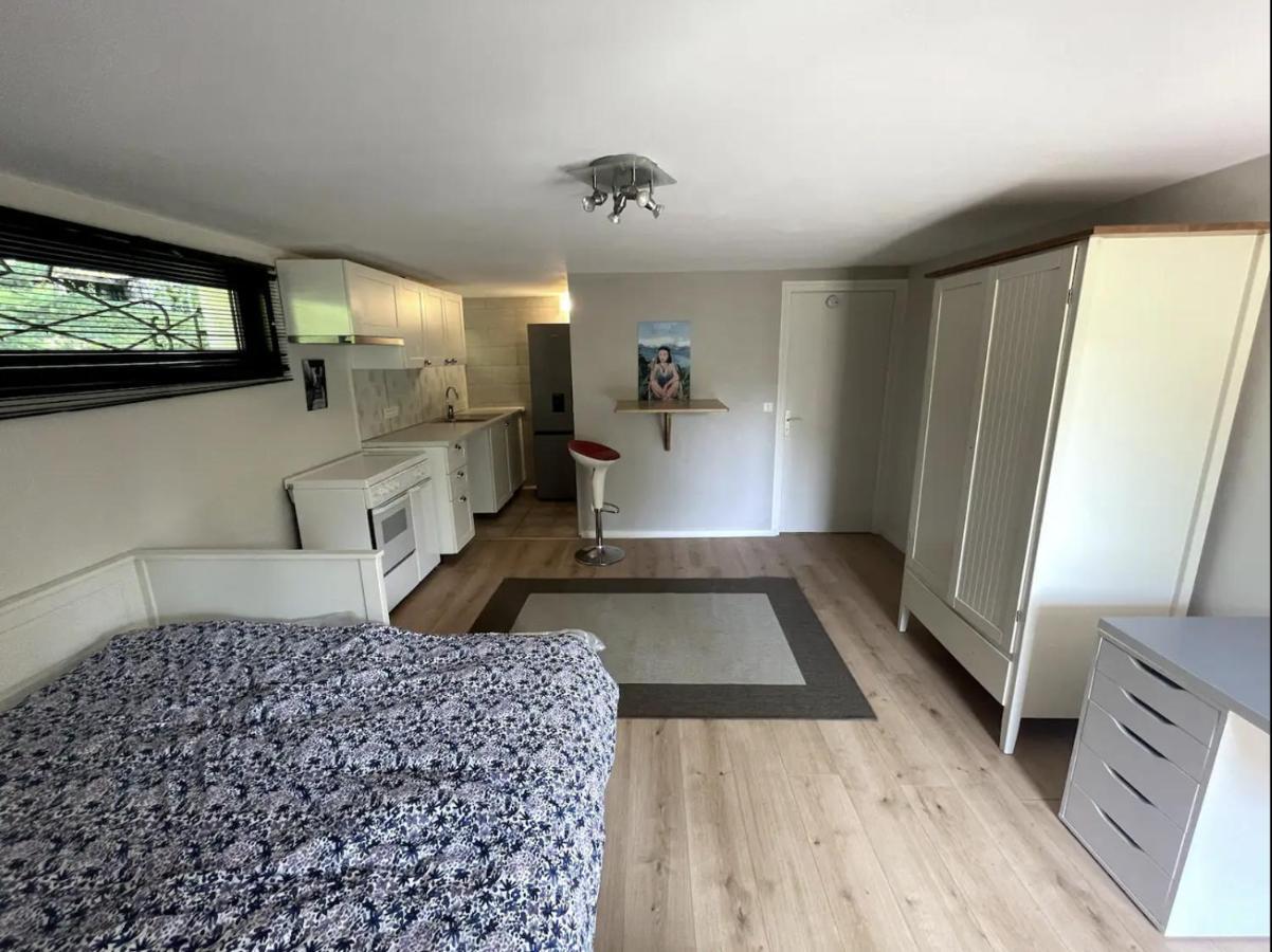 Quiet Studio In A House In Sevrier Annecy Lake Very Close To The Lake Exterior photo